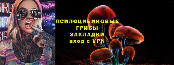соль ск Вязьма