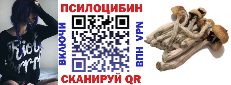 где можно купить   Дедовск  Псилоцибиновые грибы Magic Shrooms 
